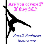 Small Biz insurance